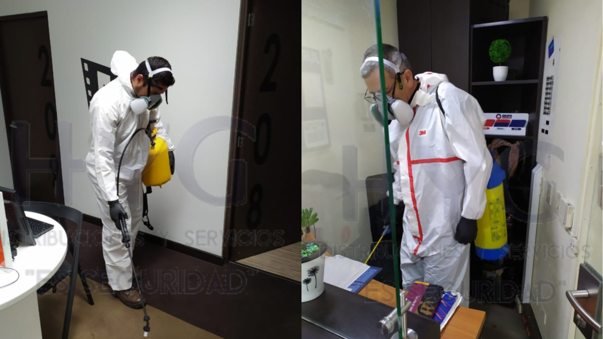 Galería en miniatura