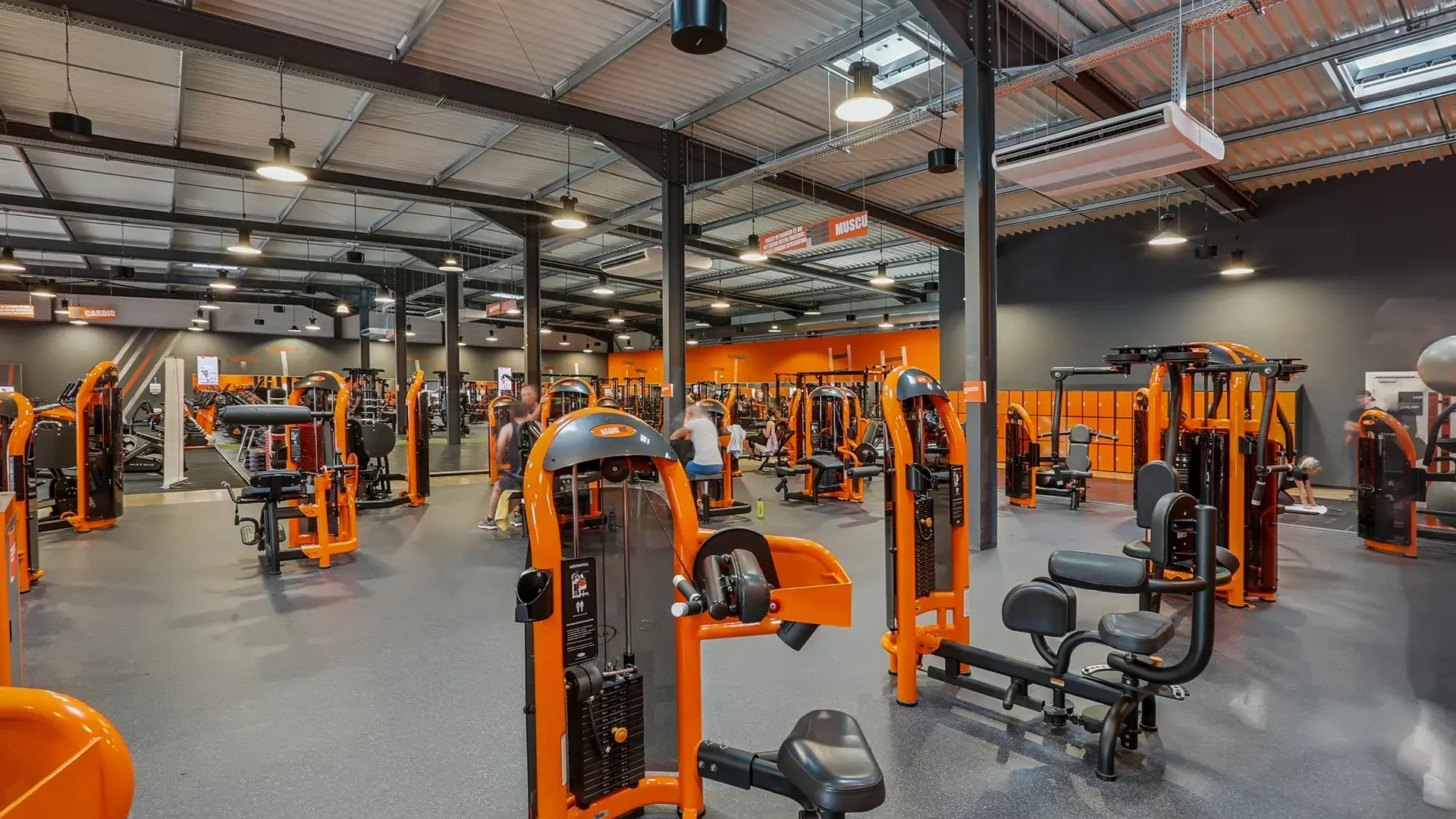 Miniature de la galerie