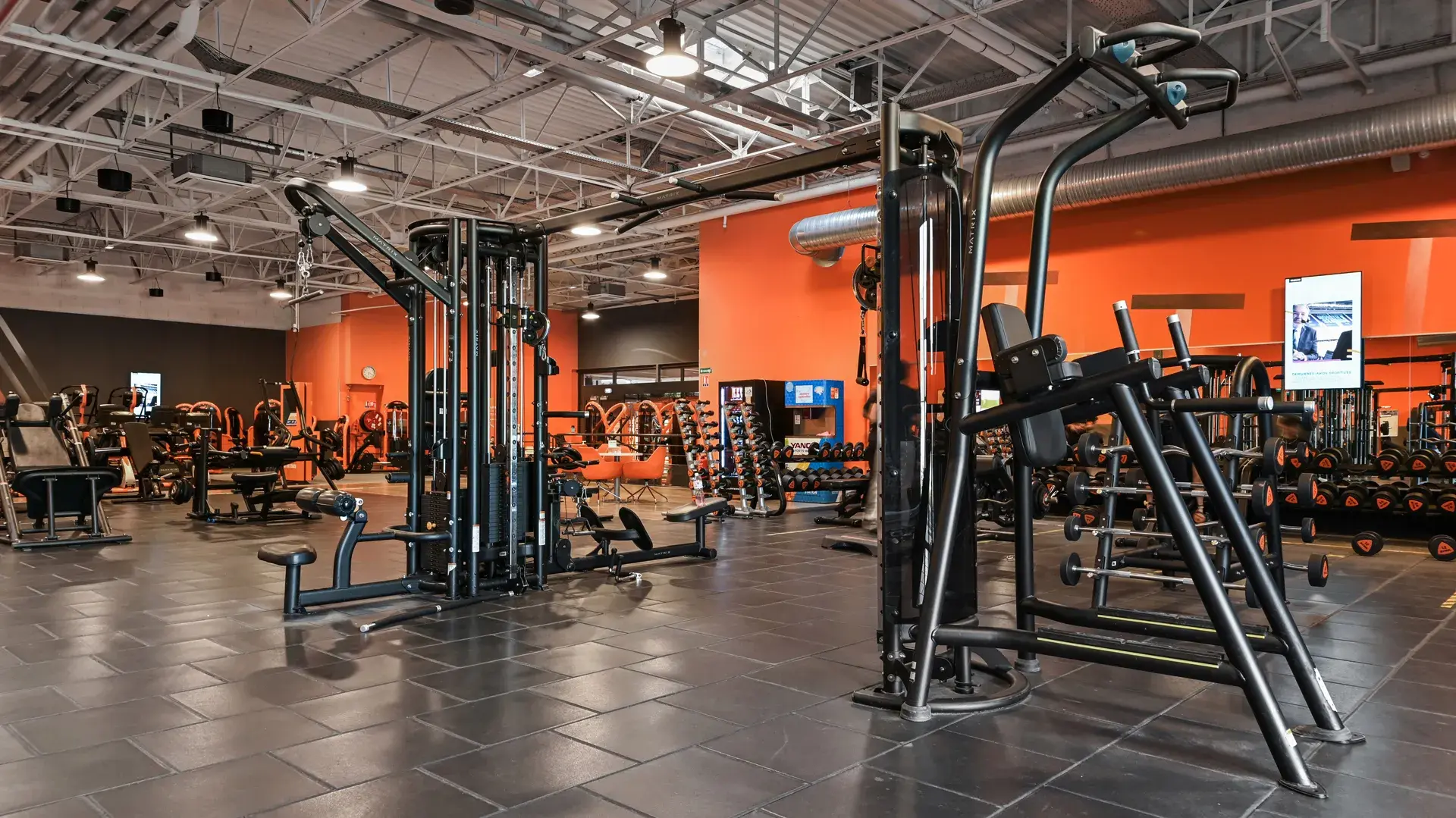 Miniature de la galerie