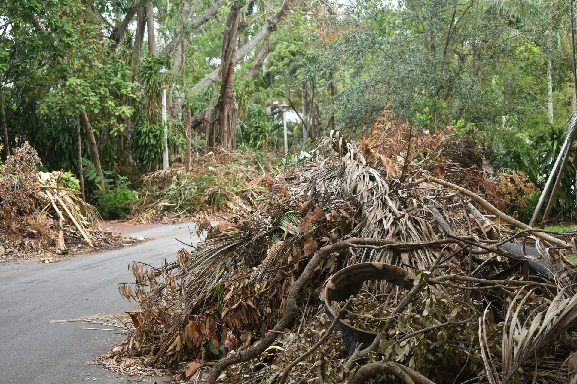 Debris Removal