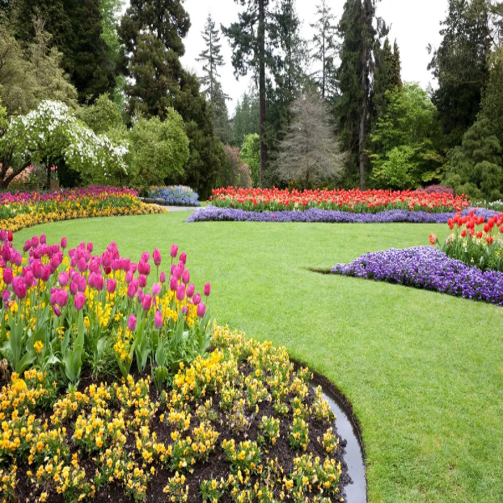 Green Year Landscaping Image