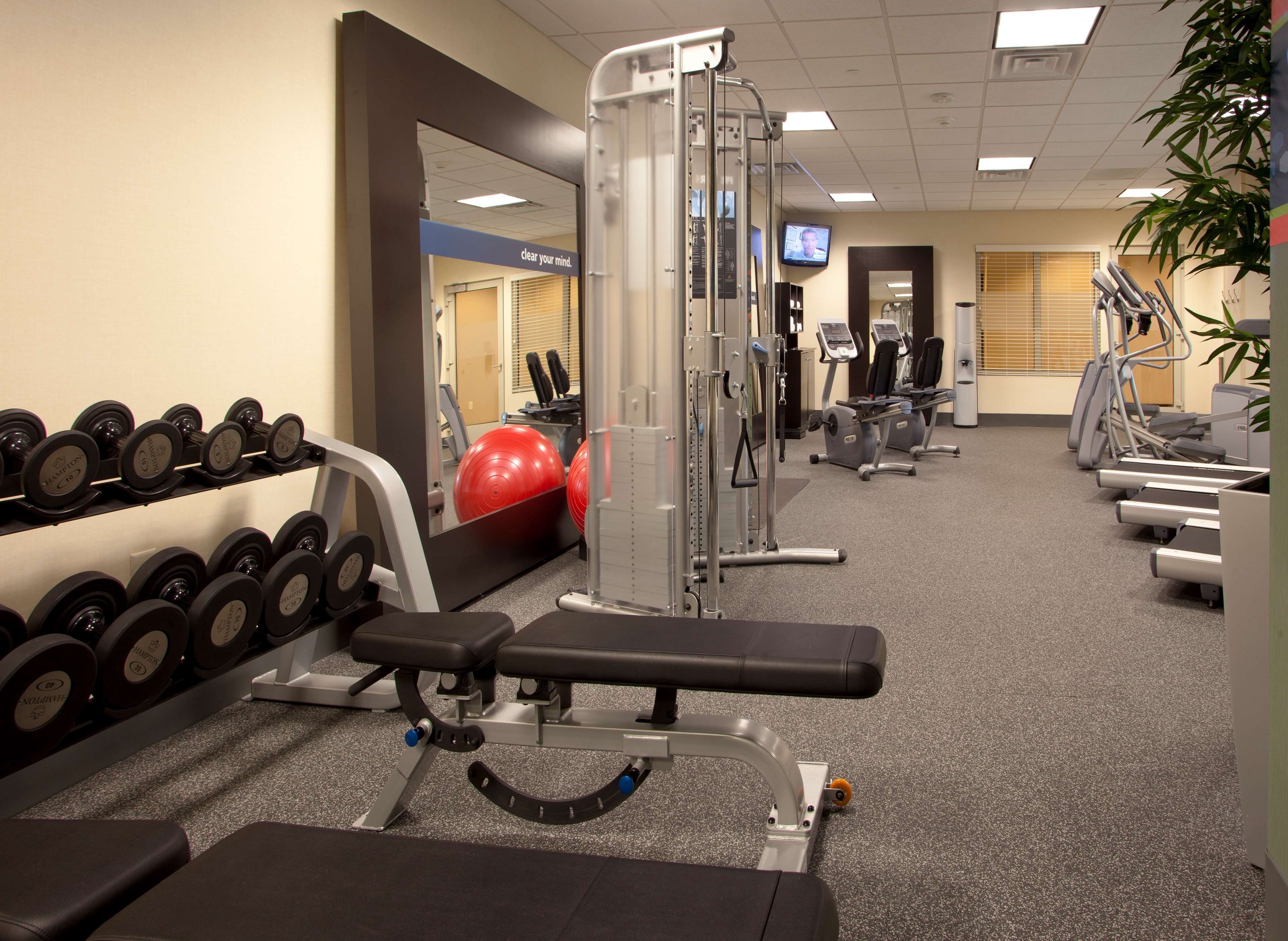 Health club  fitness center  gym