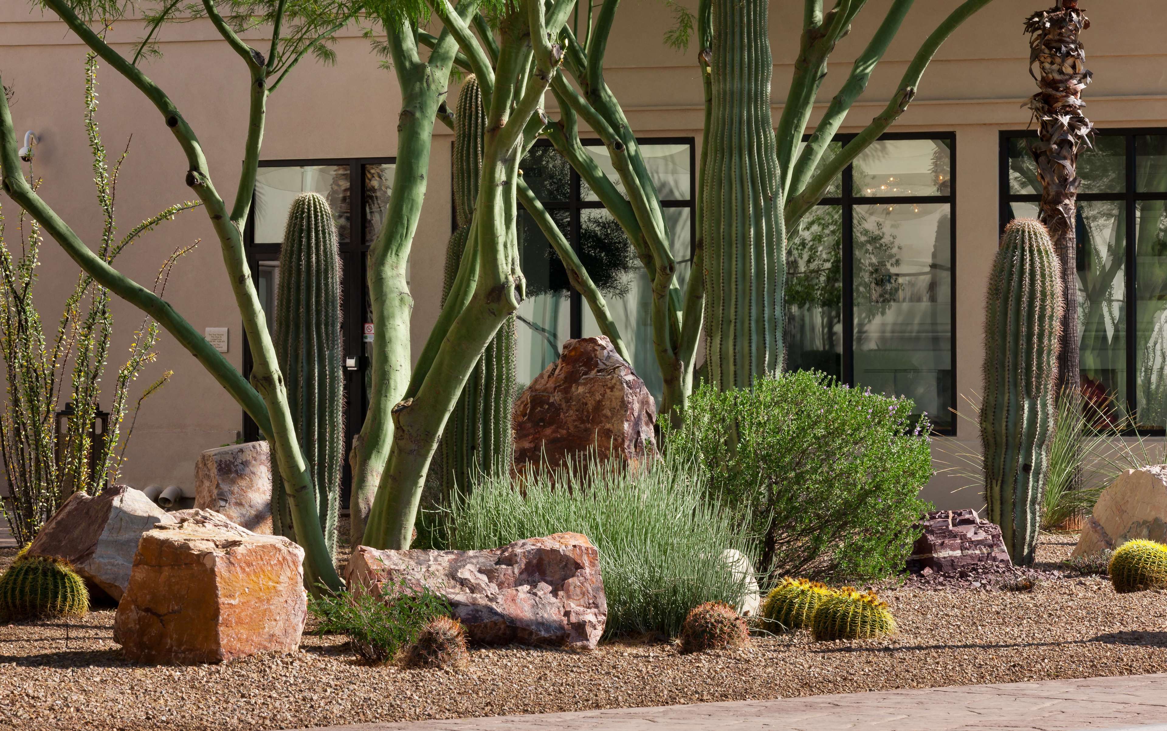 Hilton Garden Inn Tucson Airport Photo