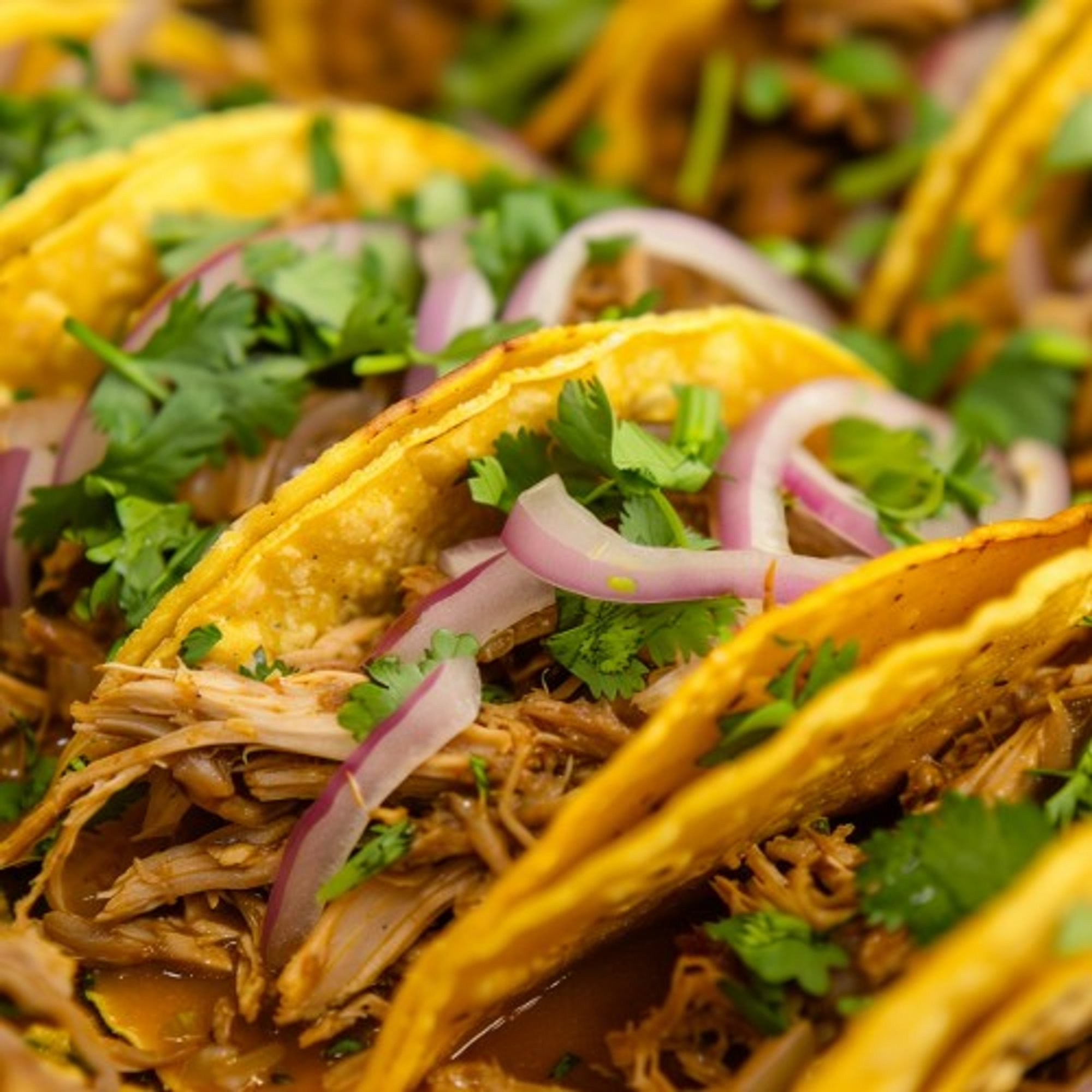 Carnitas Tacos (1 Piece)