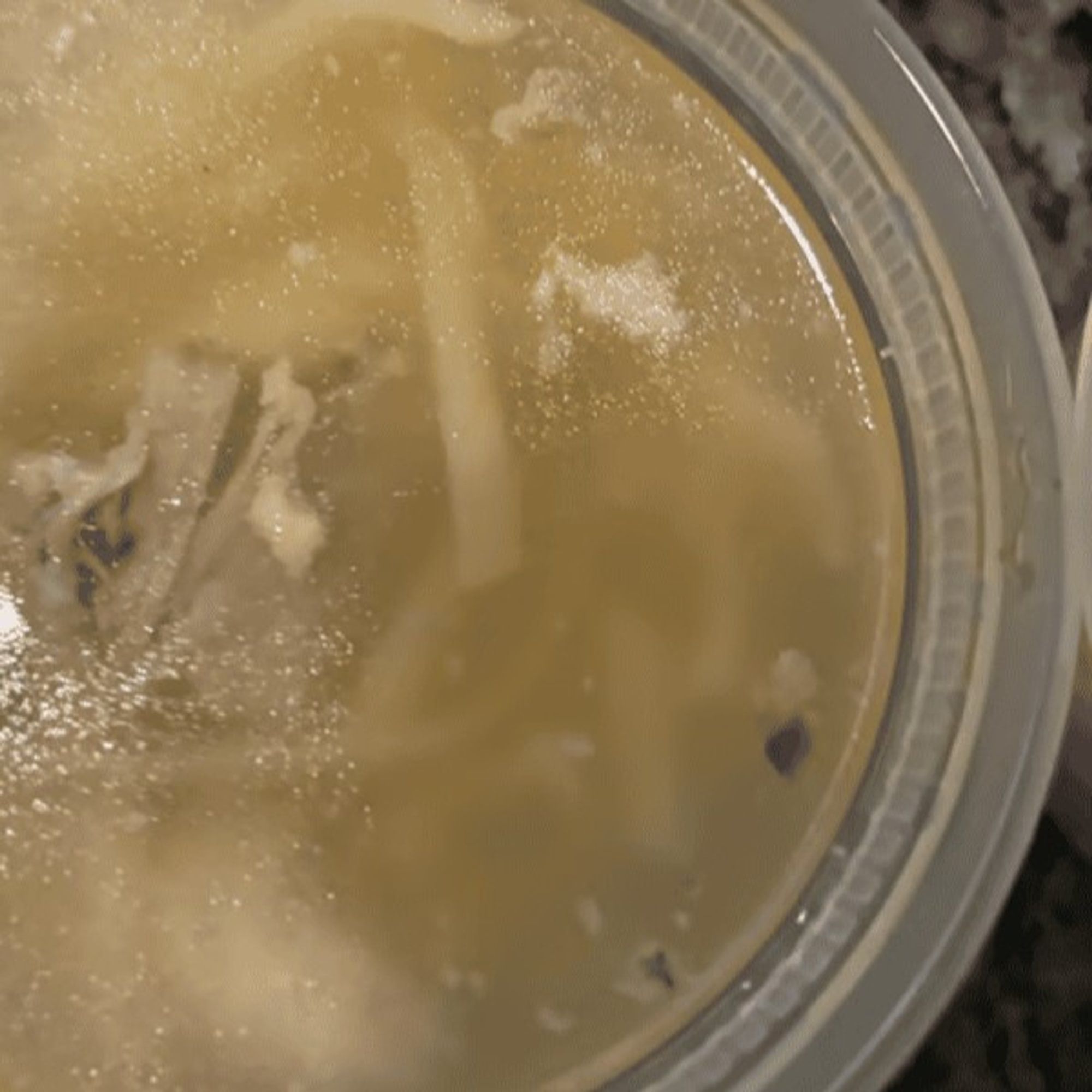 Chicken Noodle Soup
