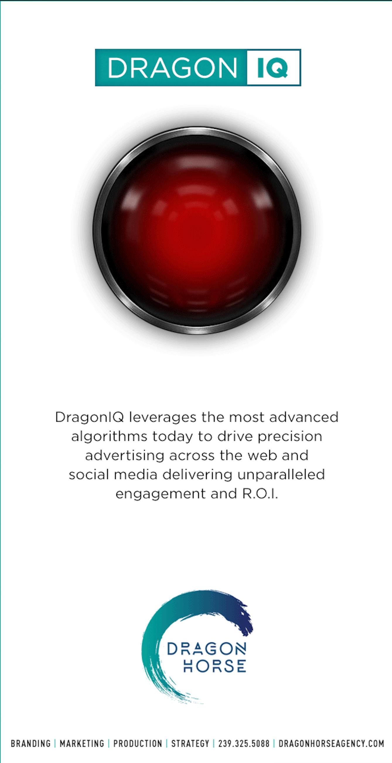 Dragon Horse Agency Image