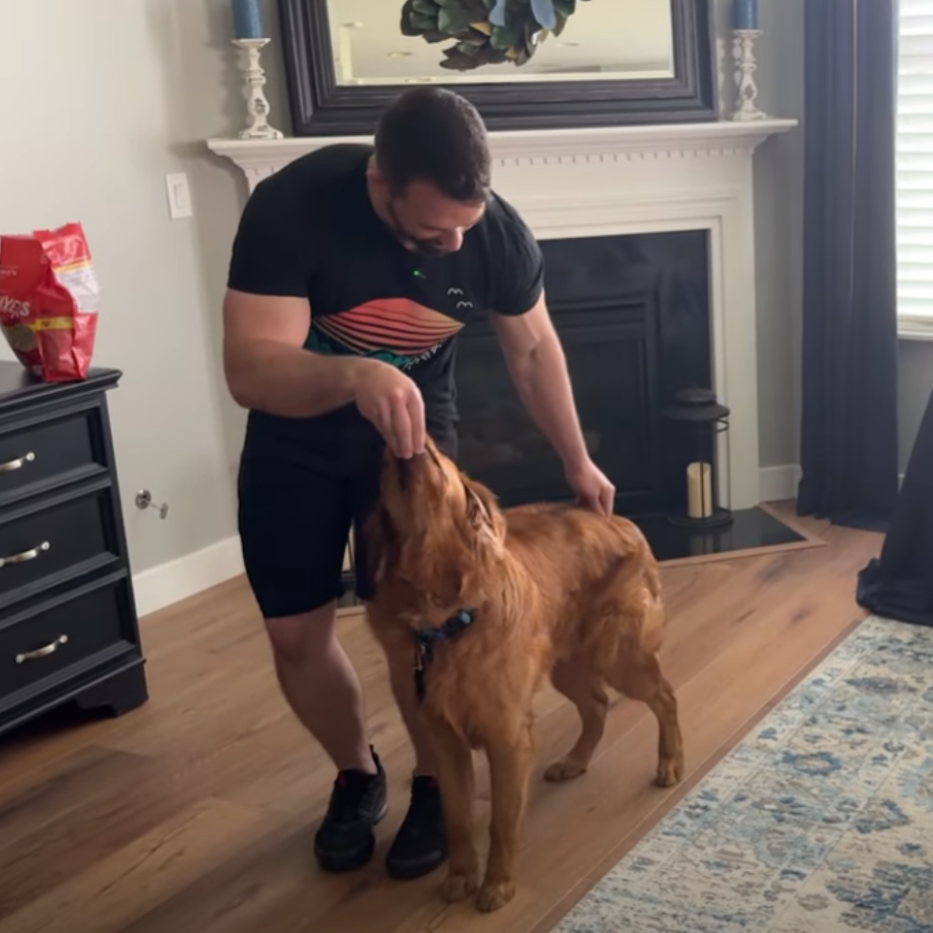 Nate Schoemer Dog Training Image