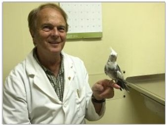 Stephens City Animal Hospital Image