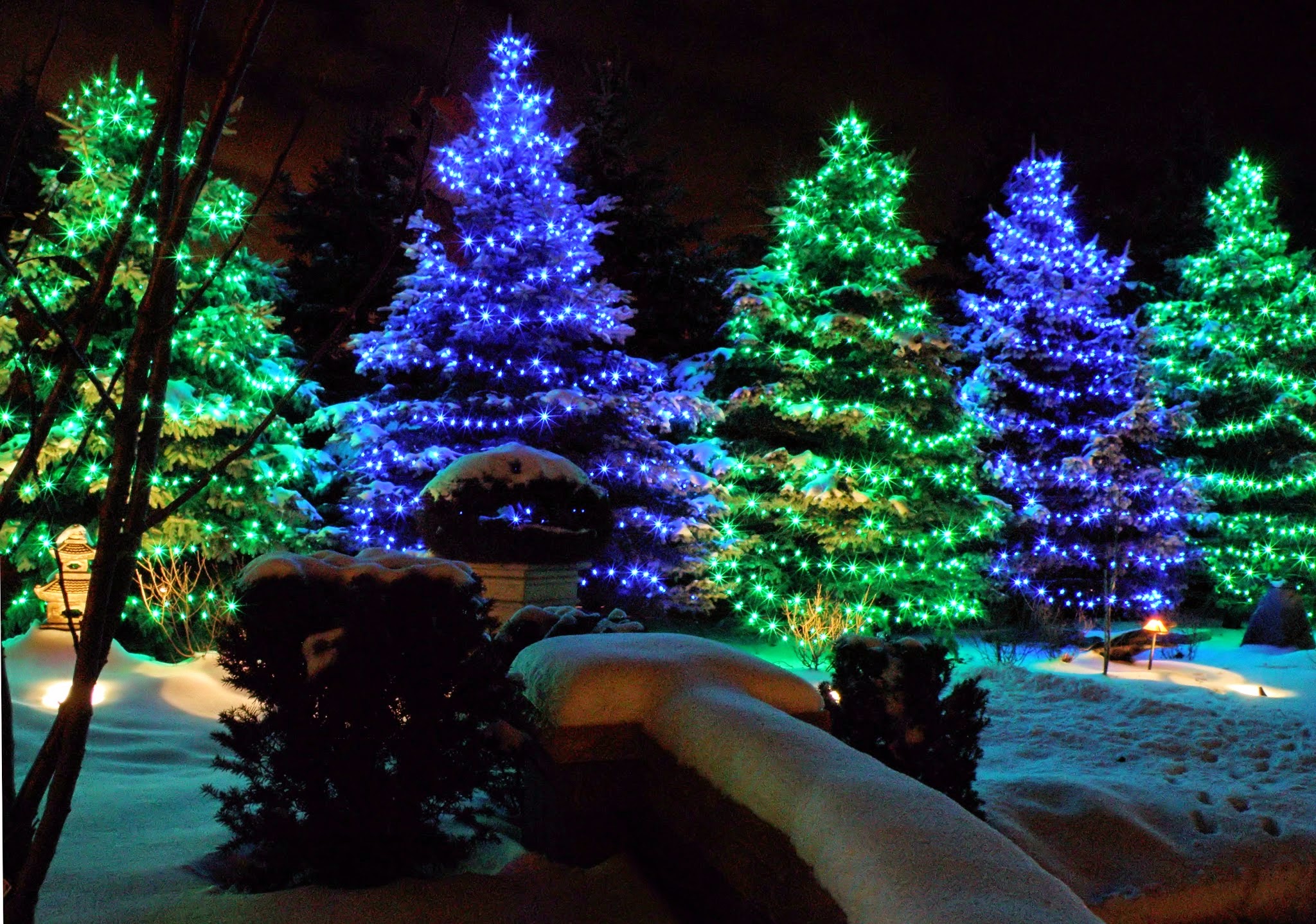 Blingle Premier Lighting of Lincoln