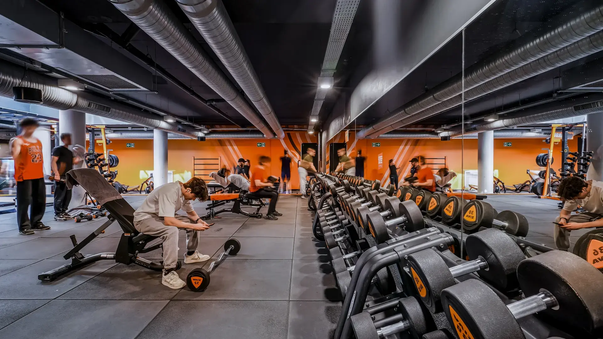 Miniature de la galerie