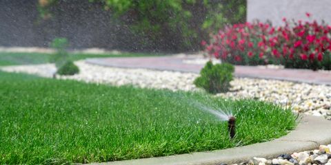 What to Know About Backflow Preventers & Irrigation Systems