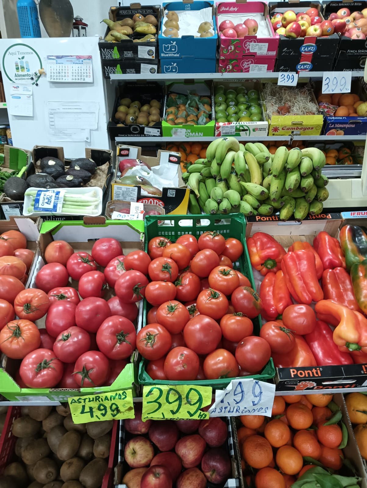 Galería en miniatura