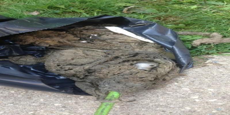 Central Sewer NY Removed Enormous Amounts of Wipes from a Main Sewer Line