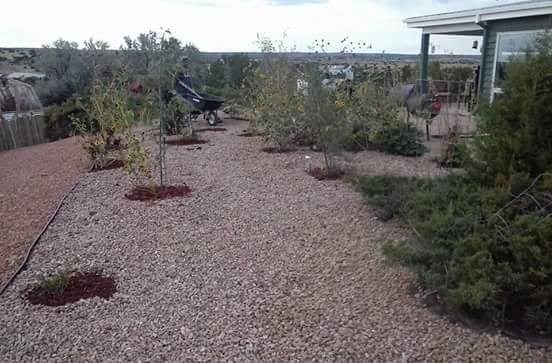 Santa Fe’s Finest Landscaping Image