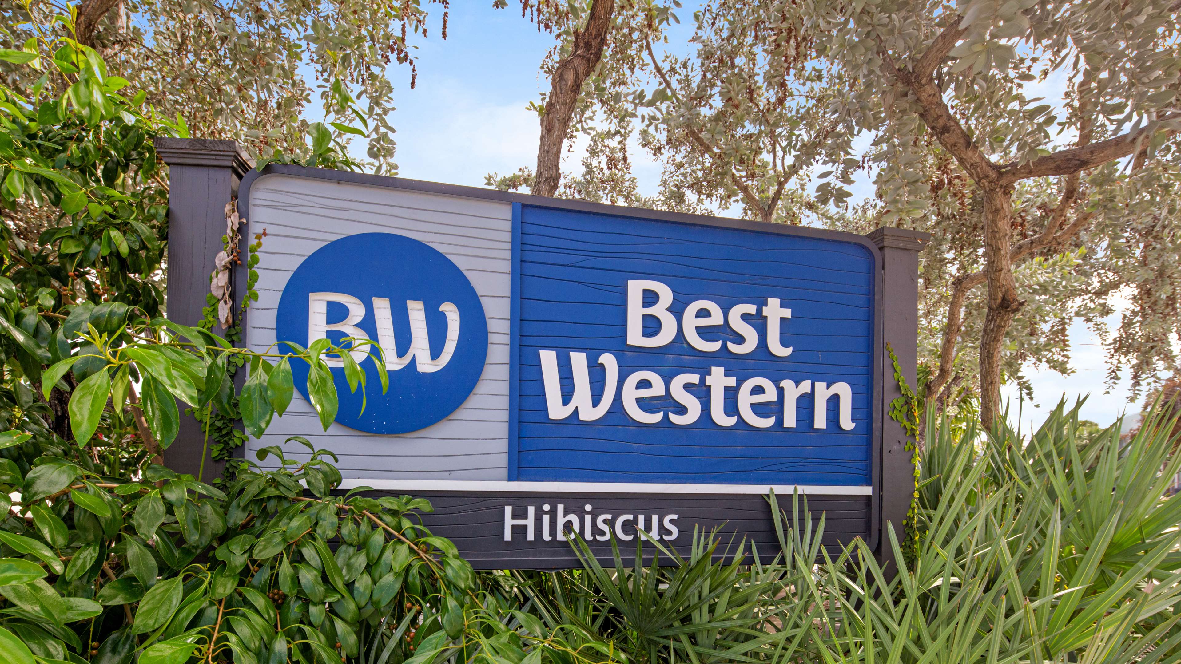 Best Western Hibiscus Motel Photo