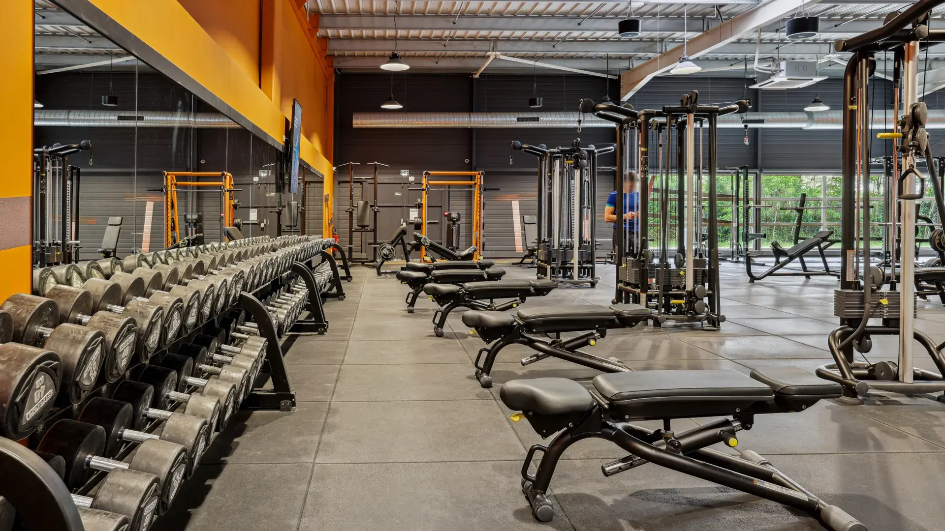 Miniature de la galerie