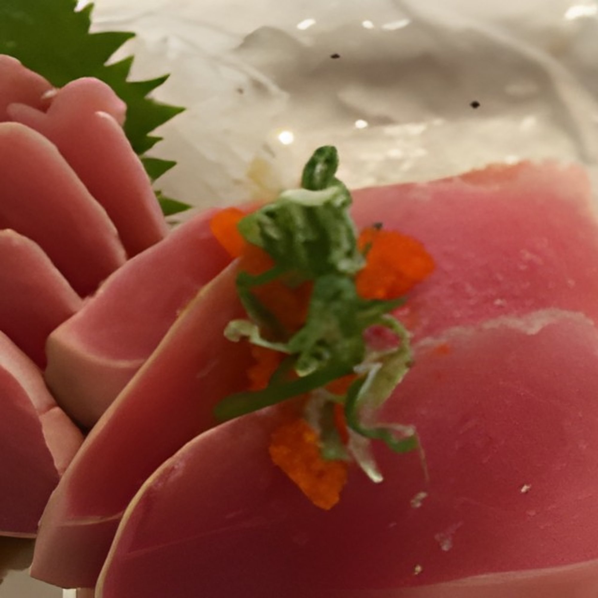Albacore Sashimi