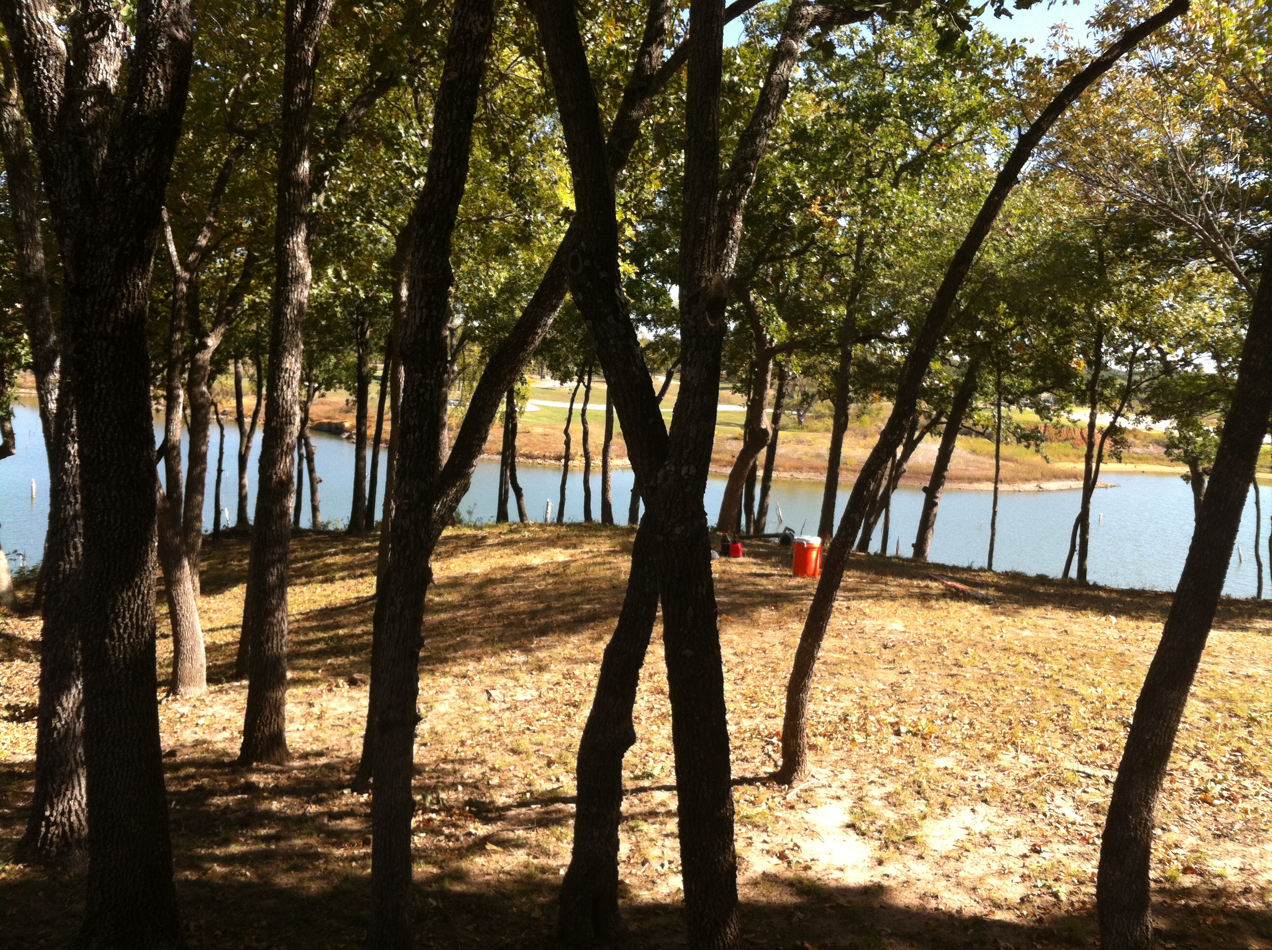 Tree Masters Tree Service Image