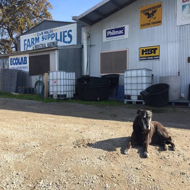 Fotos de DM Walsh Industrial Hardware & Farm Supplies