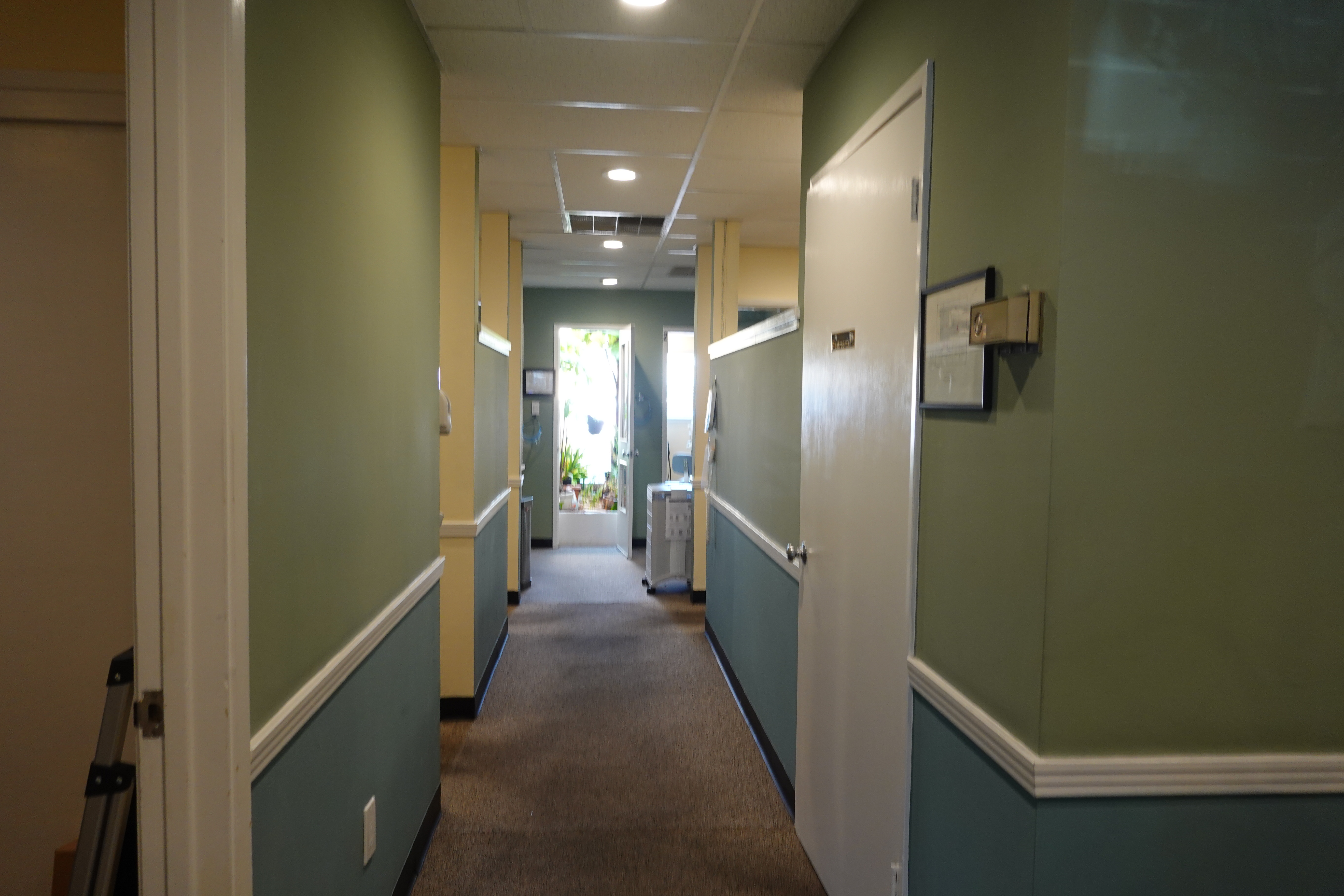 Matthew Lau, DDS FICOI Image