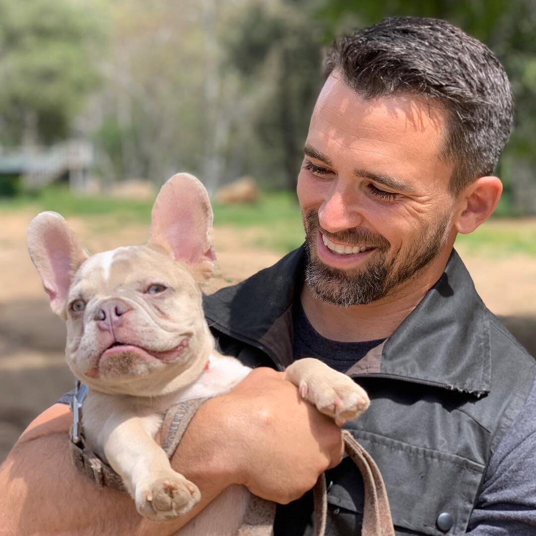 Nate Schoemer Dog Training Image