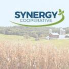 Synergy Cooperative Photo