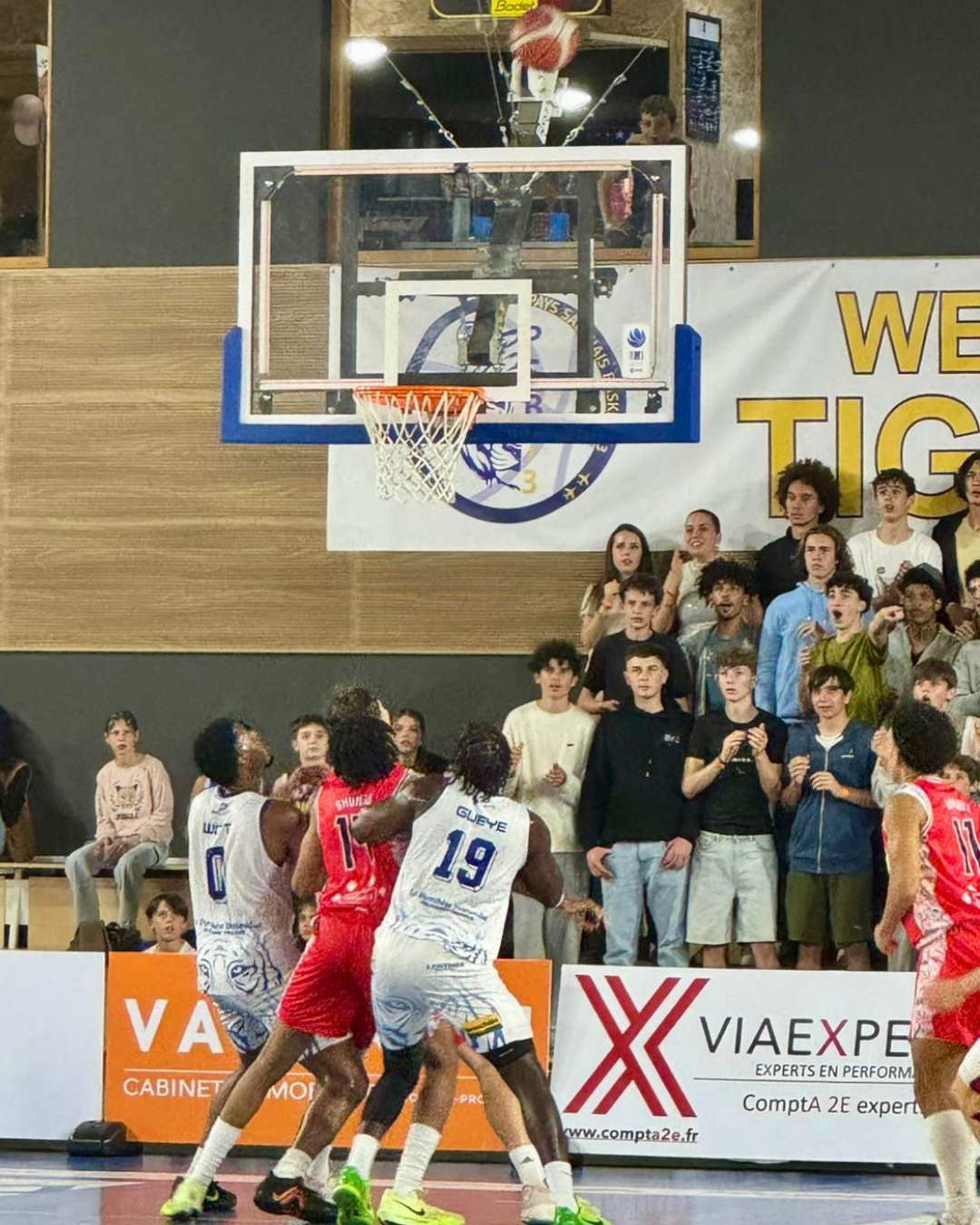 Miniature de la galerie