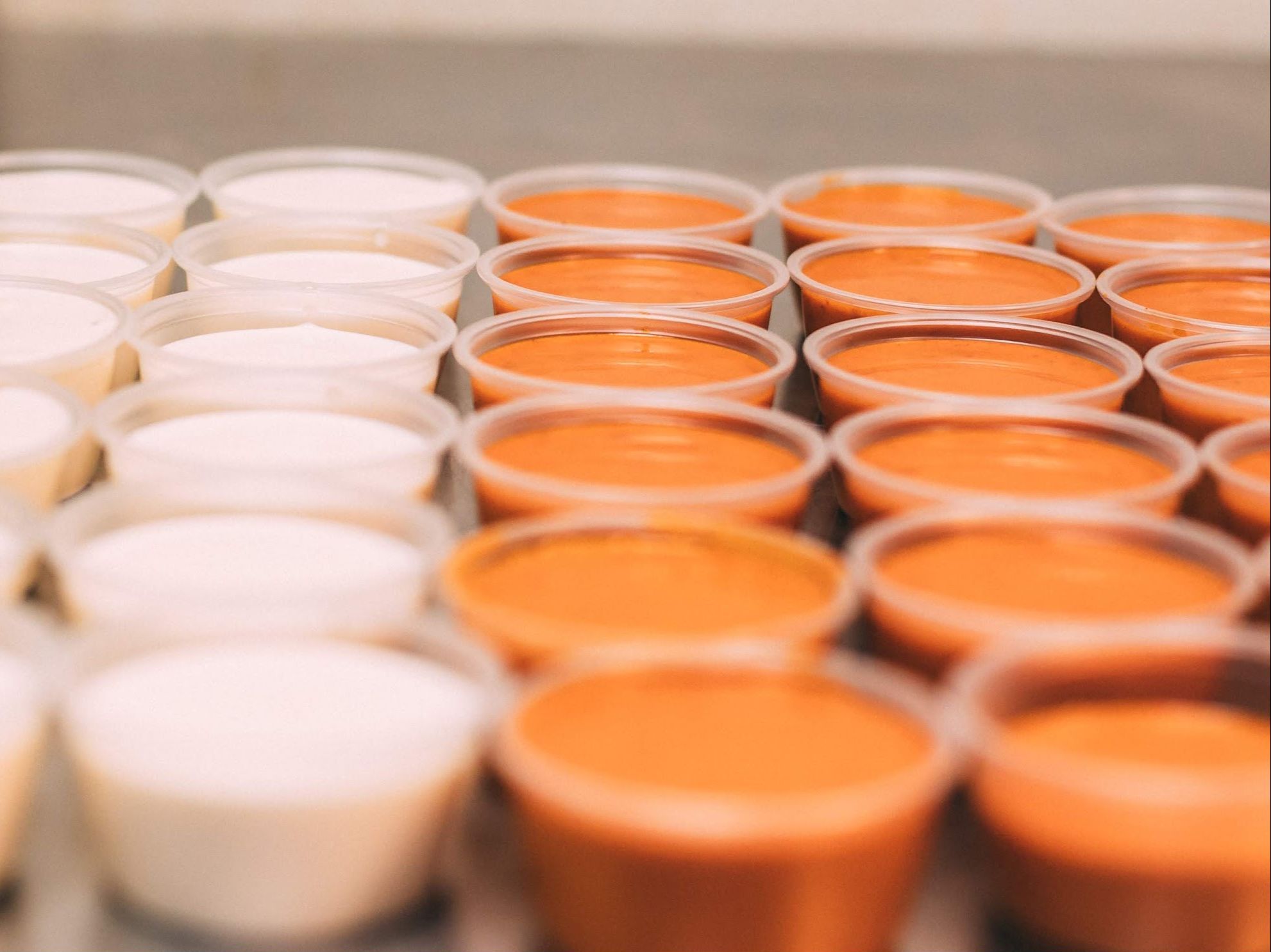 8oz Dips