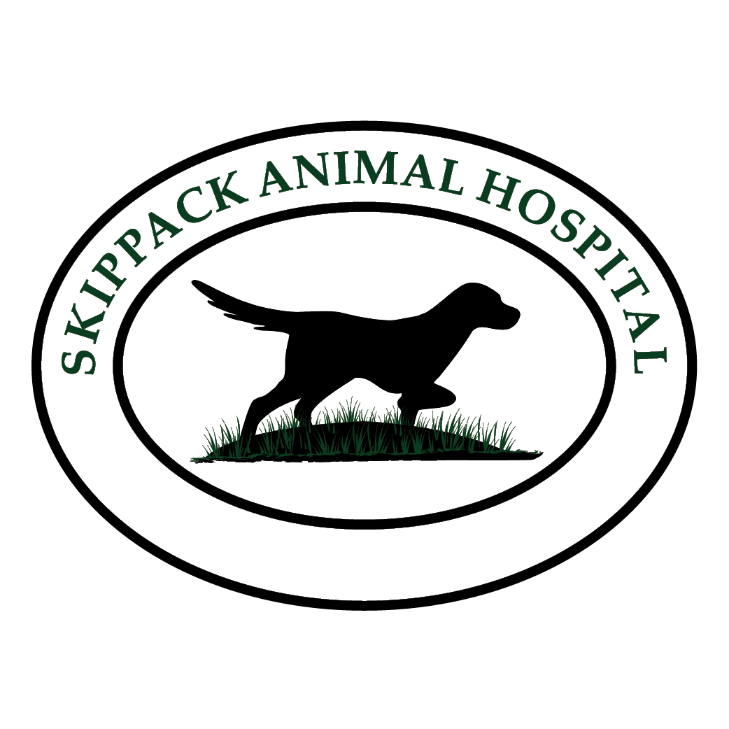 Skippack Animal Hospital