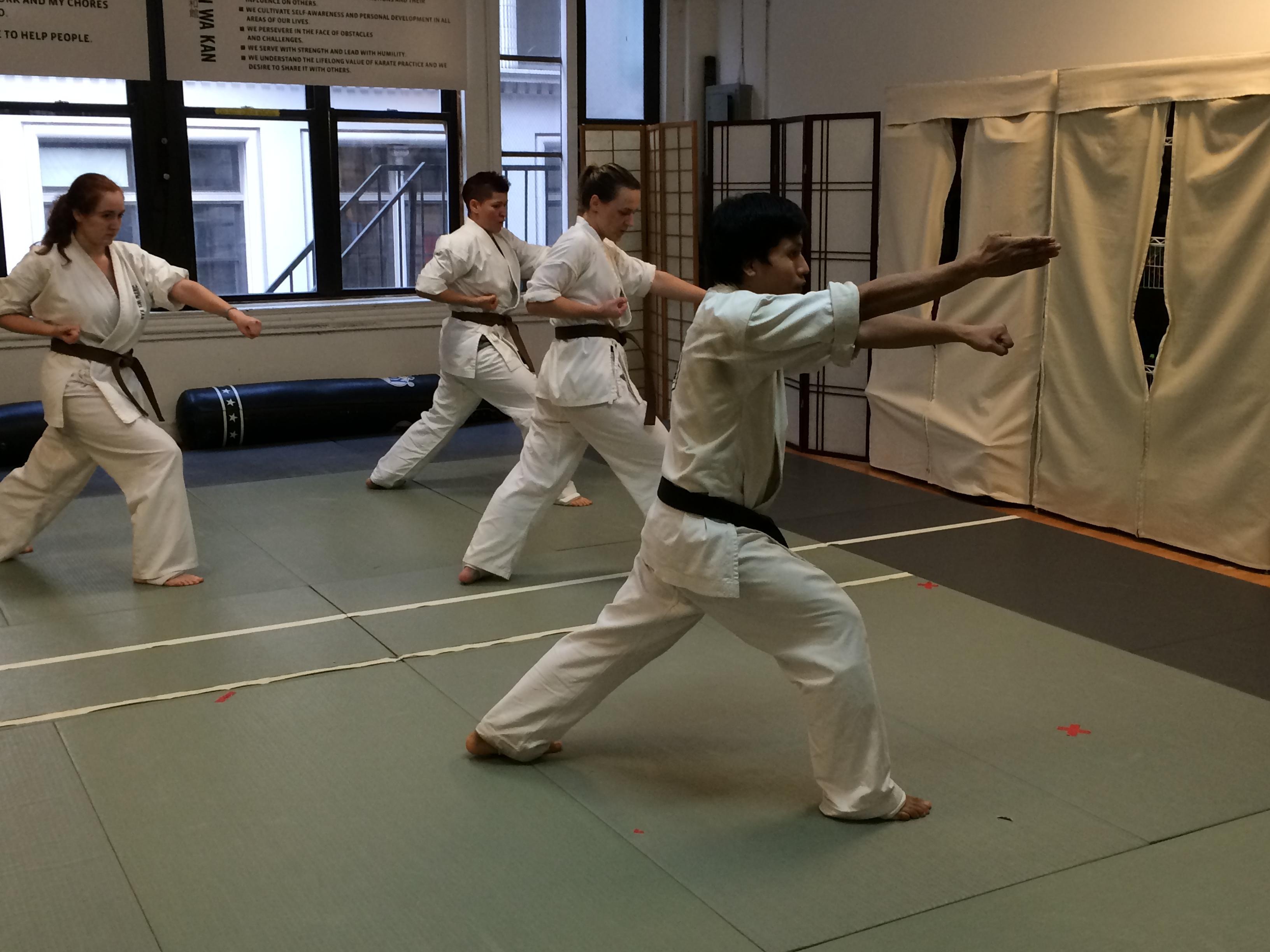 Senior Instructor teaches high level kata to brown belts! 