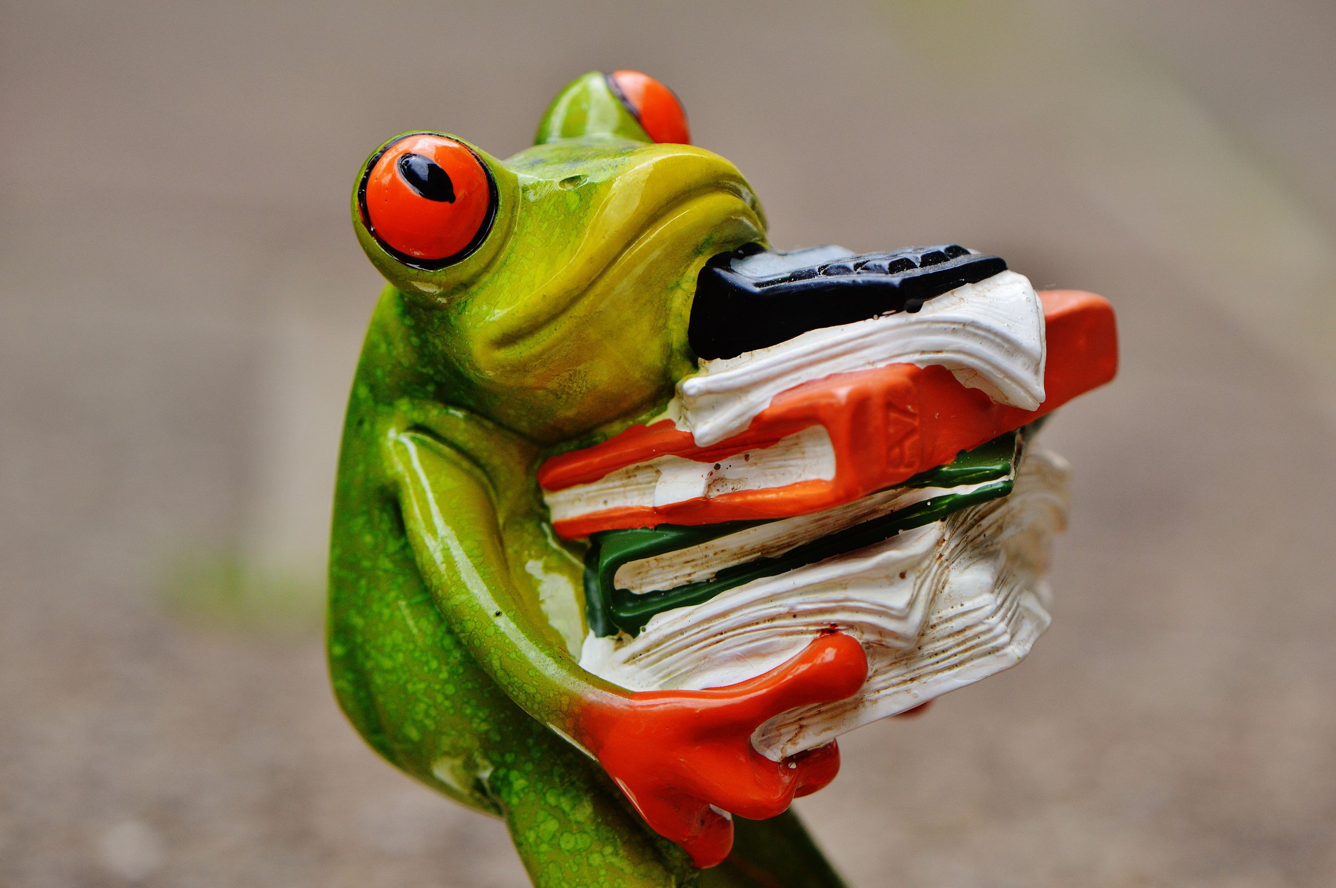 Galerie-Thumbnail