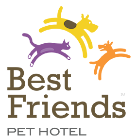 Best Friends Pet Hotel Photo
