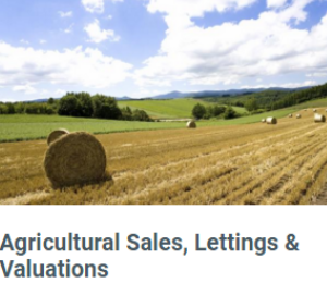 Rea Cumisky, Agricultural Property, Dublin