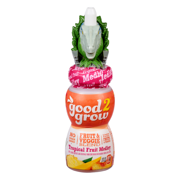 Good2Grow Tropical Fruit Medley 6oz