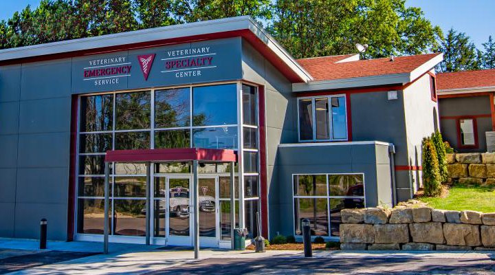 VCA Veterinary Emergency Service & Veterinary Specialty Center Photo