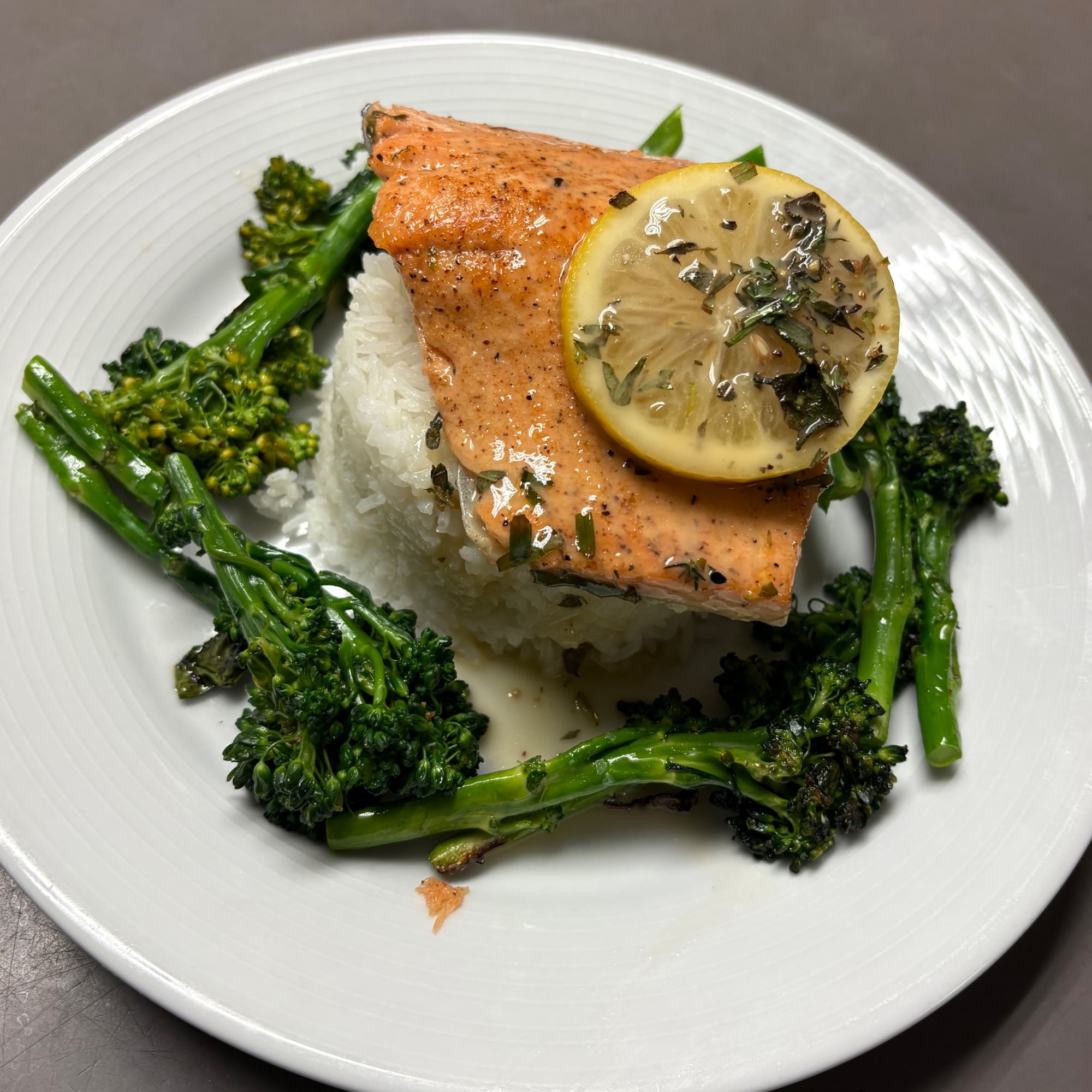 Coho Salmon