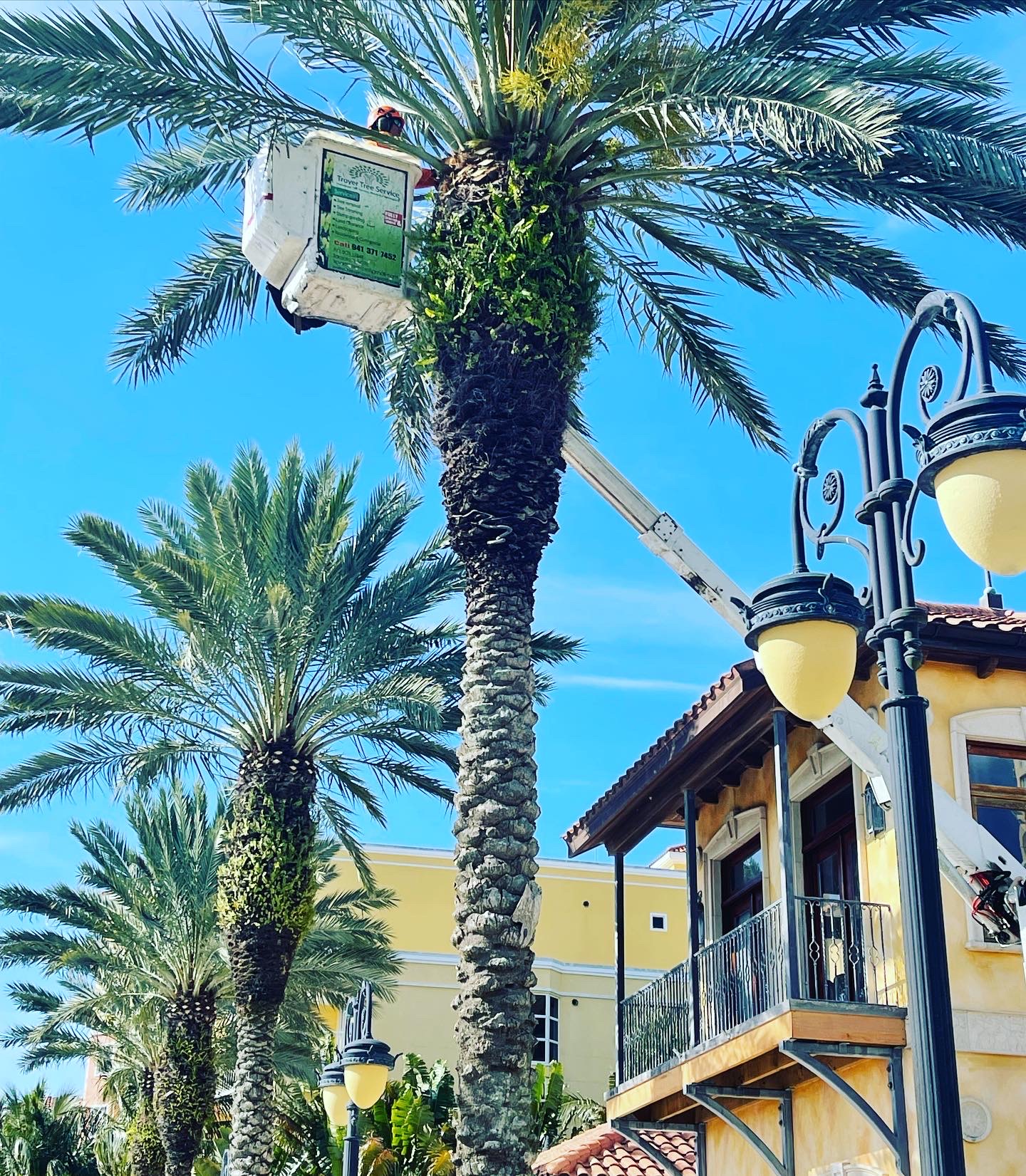 Troyer Tree Service Image