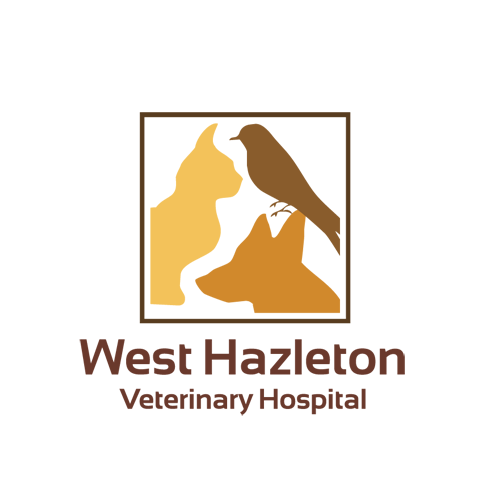 West Hazleton Veterinary Hospital Photo