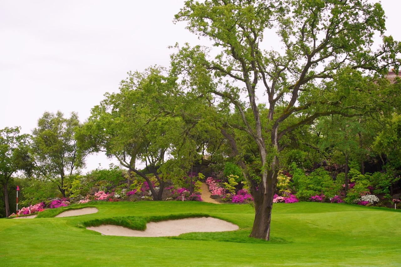 Granite Bay Golf Club Photo