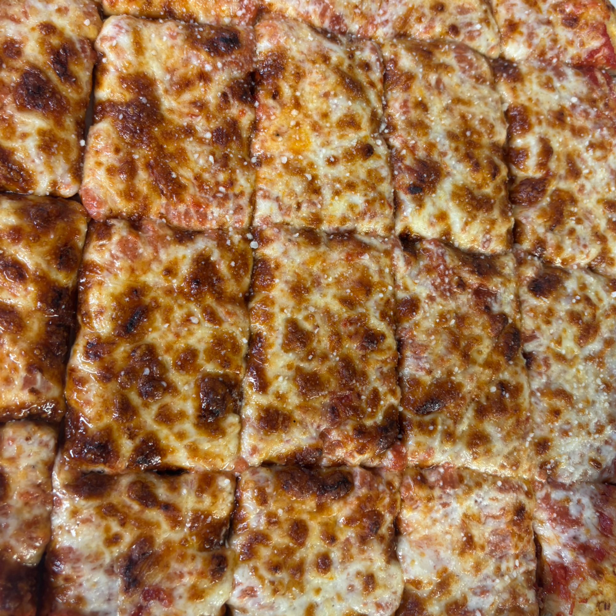 Five Cheese Pizza (Medium 12")
