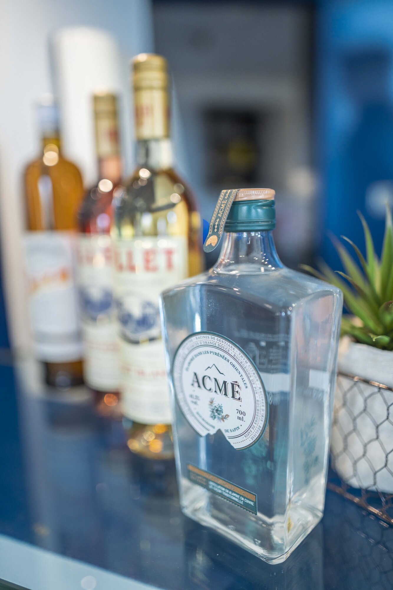 Miniature de la galerie