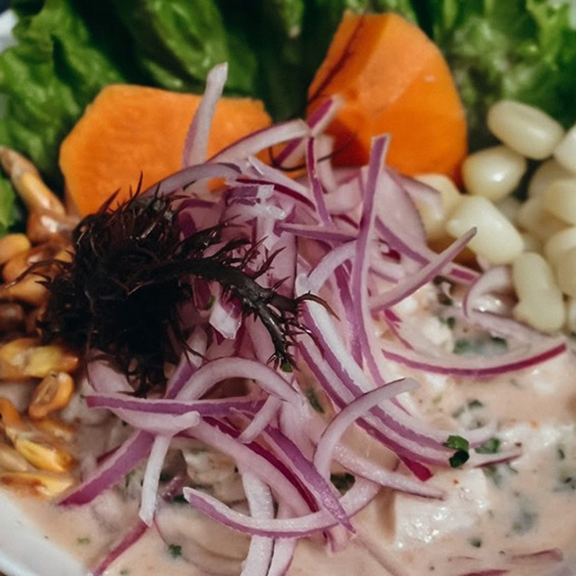 Ceviche de Pescado / Fish