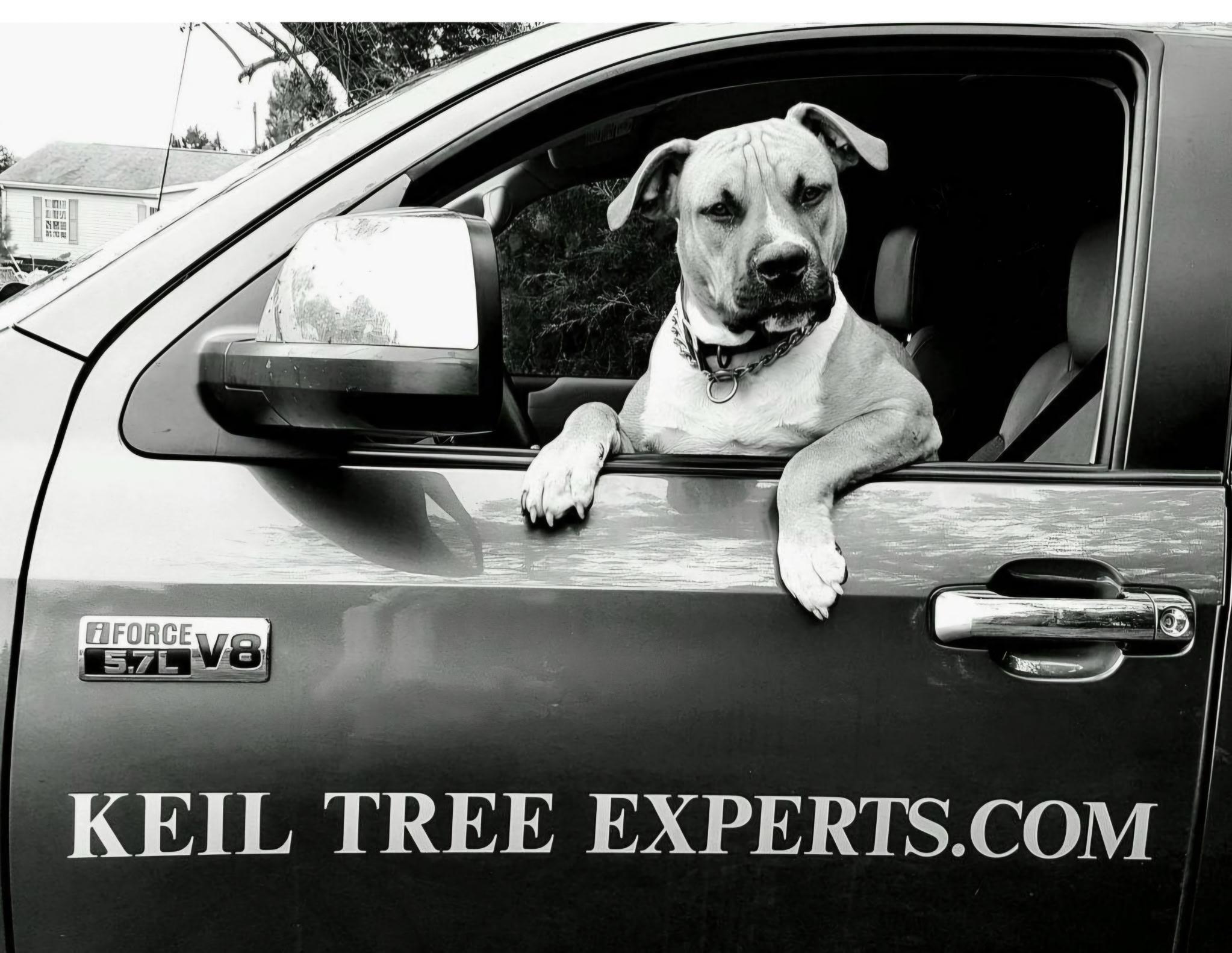 Keil Tree Experts Inc Image