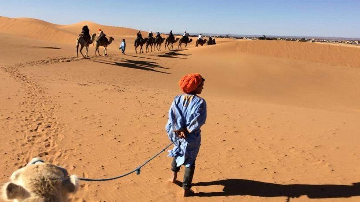 Galería en miniatura