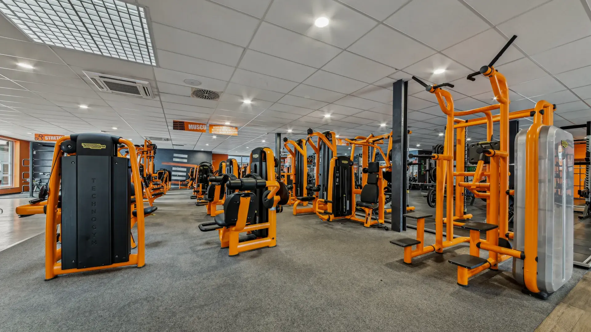 Miniature de la galerie