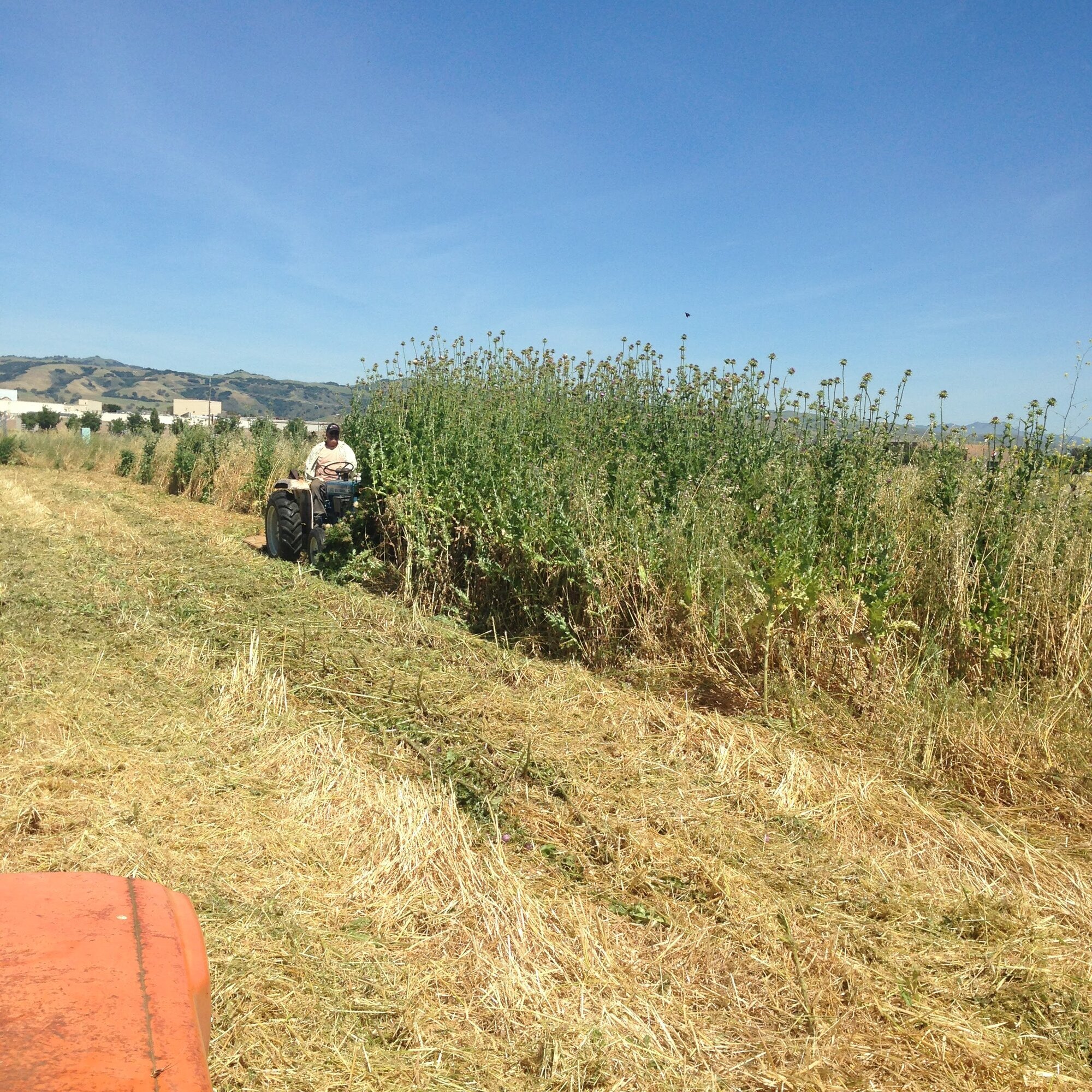 SOUTH COUNTY MOWING & DISCING Image