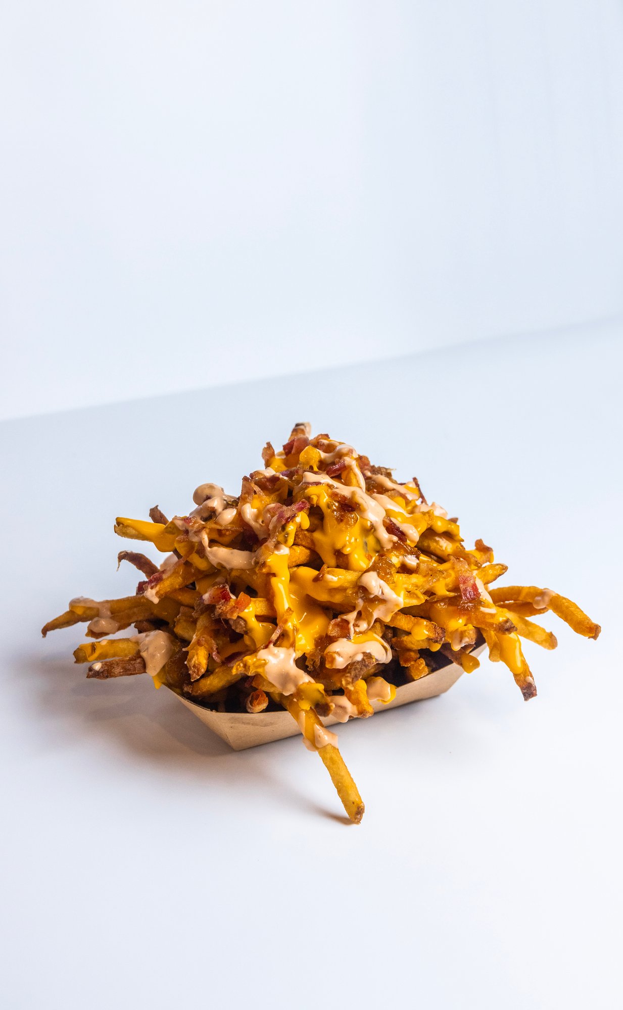 Loaded Fries