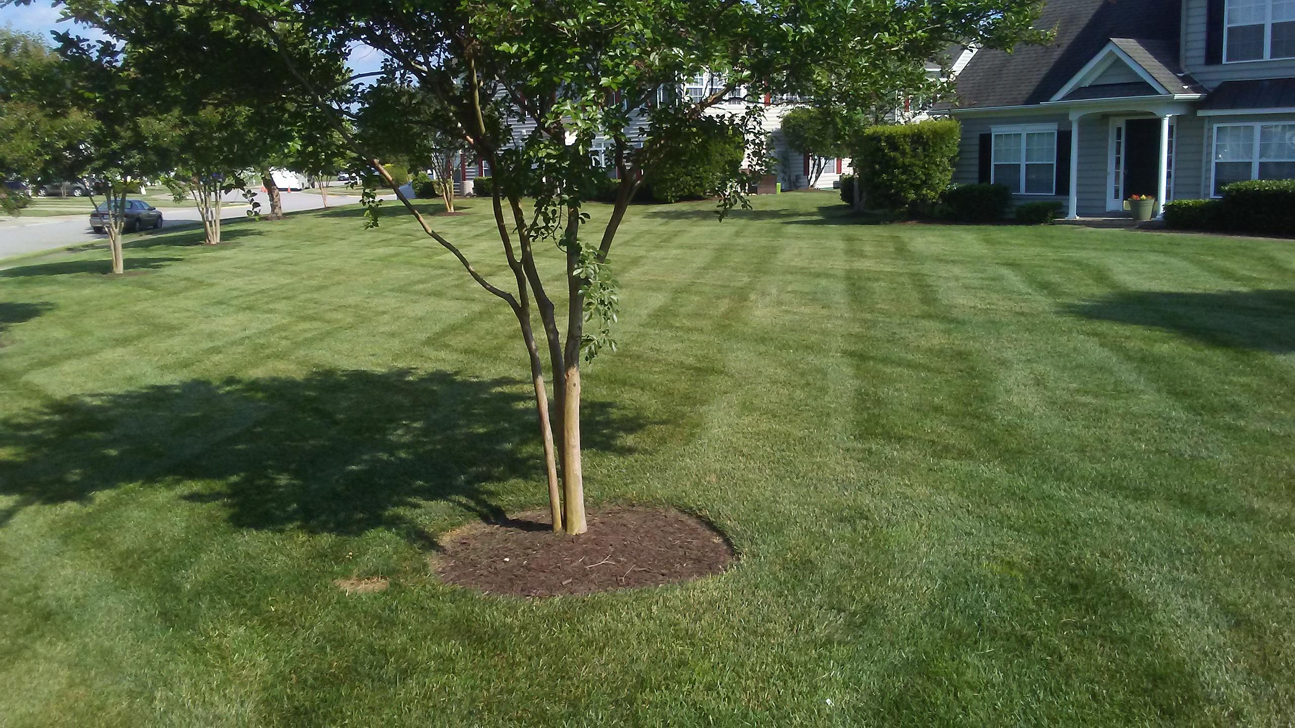 Botanical Landscape Management Photo