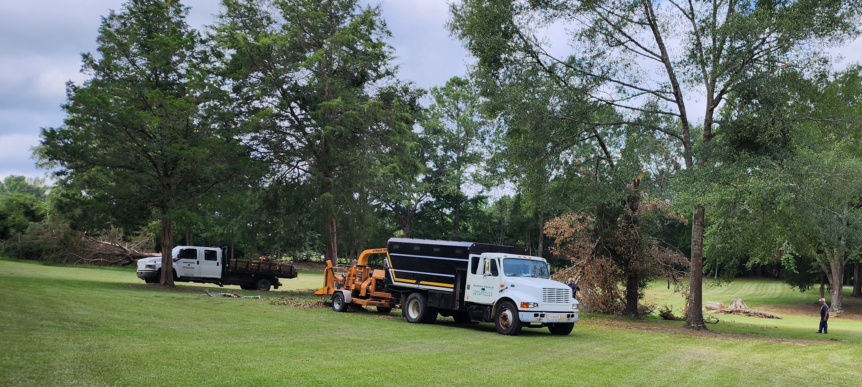 Broken Branch Tree Service LLC Image