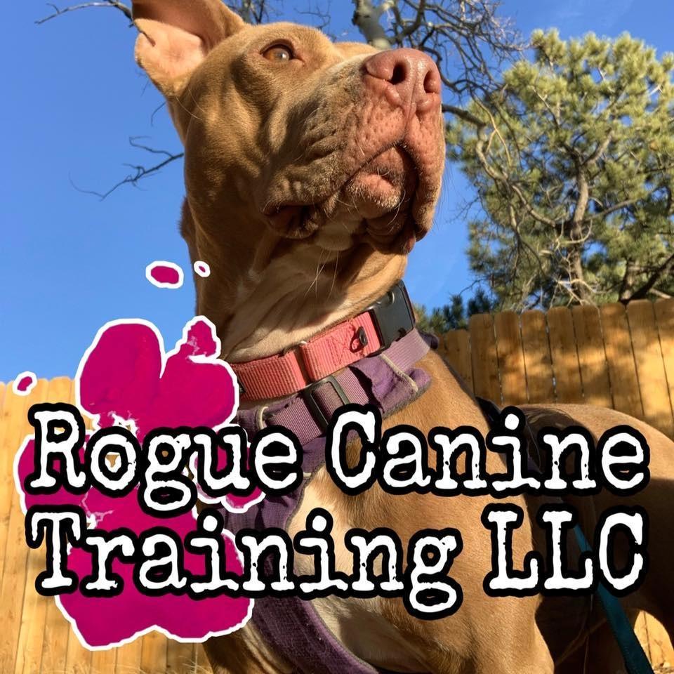 Rogue Canine Training